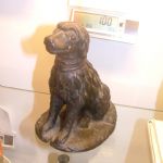 356 1356 Hund